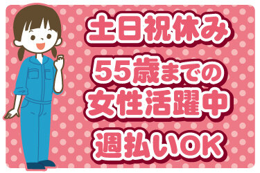土日祝休み 女性歓迎の転職・求人情報 - 埼玉県｜求人ボックス