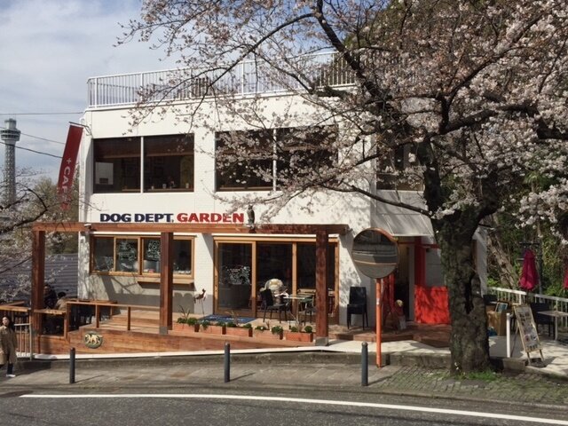 求人ボックス ドッグトレーナーの仕事 求人 神奈川県