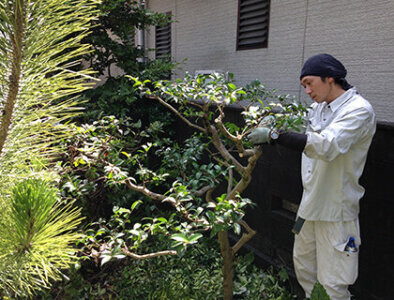 求人ボックス 樹木医の仕事 求人情報 求人ボックス 樹木医の仕事 求人情報