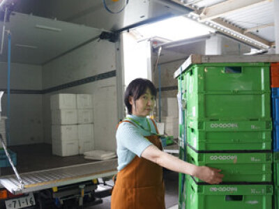 求人ボックス 仕分け 積み込みの仕事 求人 東京都 町田市 求人ボックス 仕分け 積み込みの仕事 求人 東京都 町田市