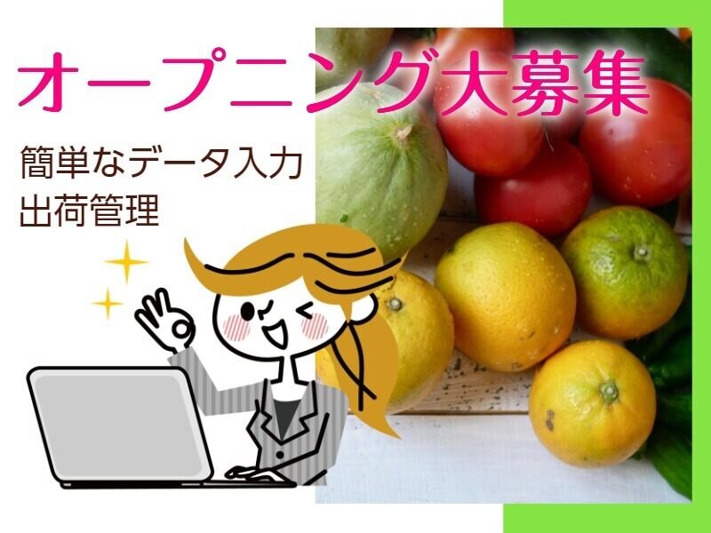 求人ボックス データ入力 副業の仕事 求人 埼玉県