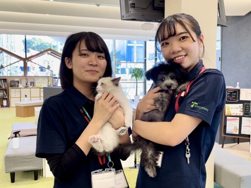 ペットしょっぷ バイト 神奈川