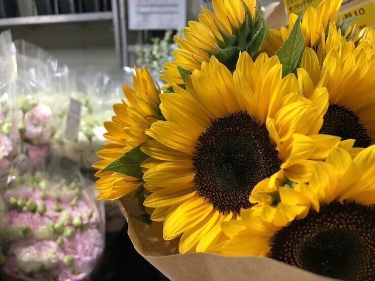 求人ボックス 花 仕分け バイト アルバイトの求人情報