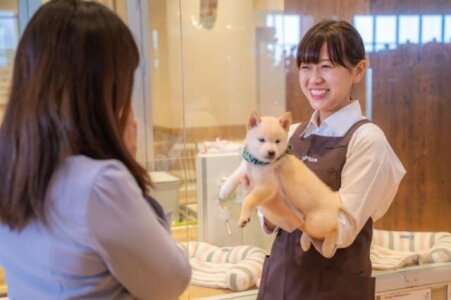 求人ボックス ペットショップの仕事 求人 福井県 福井市 求人ボックス ペットショップの仕事 求人 福井県 福井市