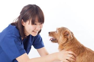 ペット 事務 人気 求人 関西