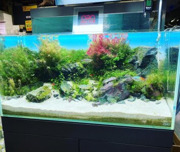 M4dej 1le7rzm M4dej 1le7rzm