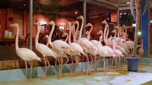 求人ボックス 駅ビル キッチンの仕事 求人 茨城県 つくば市 求人ボックス 駅ビル キッチンの仕事 求人 茨城県 つくば市