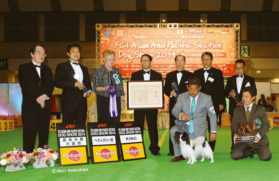 犬カフェ 大阪 求人