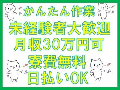 求人ボックス 軽作業スタッフの仕事 求人 札幌市 手稲区 求人ボックス 軽作業スタッフの仕事 求人 札幌市 手稲区