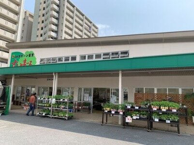 求人ボックス 園芸の仕事 求人 沖縄県 求人ボックス 園芸の仕事 求人 沖縄県