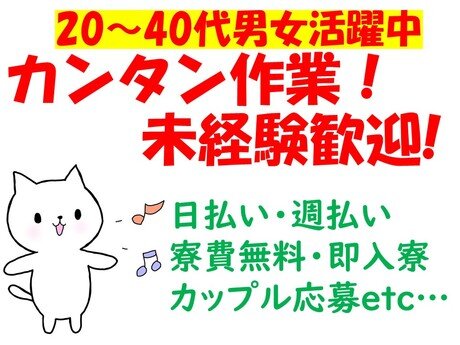 求人ボックス 履歴書不要 日払いの仕事 求人 埼玉県 杉戸町