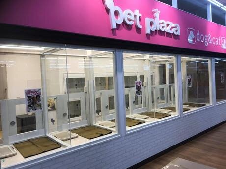 求人ボックス ショップスタッフ バイトの求人情報 埼玉県 川口市