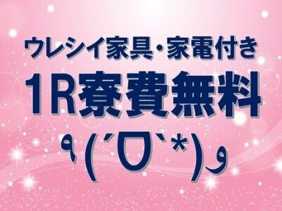 求人ボックス ピッキング 日払いの仕事 求人 千葉県 船橋市