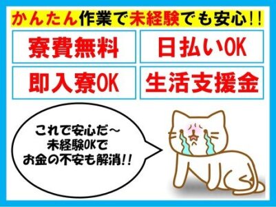 求人ボックス 軽自動車 日払いの仕事 求人 愛知県 名古屋市 求人ボックス 軽自動車 日払いの仕事 求人 愛知県 名古屋市