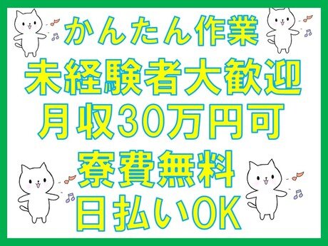 求人ボックス 軽作業 残業なしの仕事 求人 南越谷駅周辺