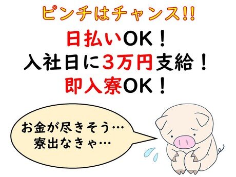 求人ボックス オープニングスタッフ 新店舗の仕事 宮崎県 都城市