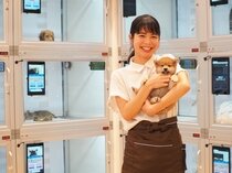 求人ボックス ペット 動物 正社員の転職 求人情報 京都府