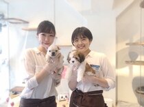 コレクション 犬 バイト 高校生 犬 カフェ バイト 高校生 アニメ画像id