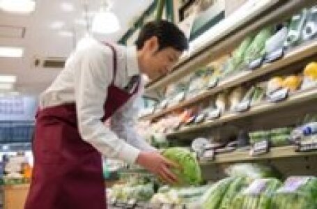 求人ボックス レジ 商品補充の仕事 求人 島根県 松江市 求人ボックス レジ 商品補充の仕事 求人 島根県 松江市