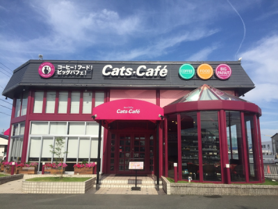 求人ボックス カフェの仕事 求人 愛知県 豊橋市 求人ボックス カフェの仕事 求人 愛知県 豊橋市