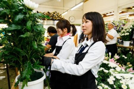求人ボックス フラワーショップの仕事 求人 埼玉県 求人ボックス フラワーショップの仕事 求人 埼玉県