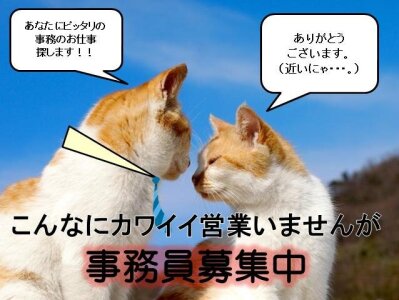 求人ボックス 事務 扶養内の仕事 求人 埼玉県 三芳町 求人ボックス 事務 扶養内の仕事 求人 埼玉県 三芳町