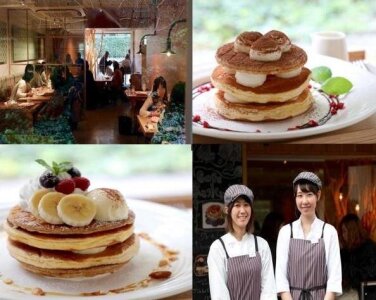 求人ボックス パンケーキの仕事 求人 和歌山県 求人ボックス パンケーキの仕事 求人 和歌山県