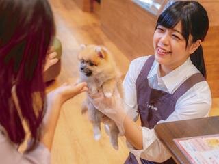 求人ボックス 犬 飼育の仕事 求人 埼玉県