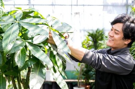 求人ボックス グリーンコーディネーターの仕事 求人情報 求人ボックス グリーンコーディネーターの仕事 求人情報