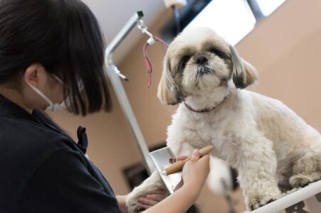 求人ボックス ホームセンター バイトの求人情報 埼玉県 久喜市 求人ボックス ホームセンター バイトの求人情報 埼玉県 久喜市