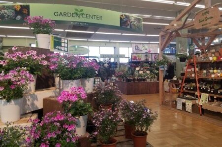 求人ボックス 園芸の仕事 求人 愛知県 求人ボックス 園芸の仕事 求人 愛知県