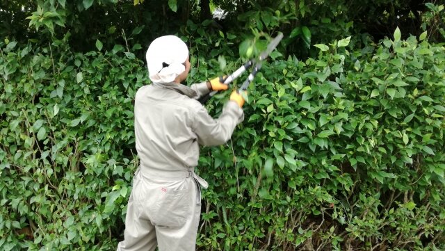 求人ボックス ガーデニングの仕事 求人 岐阜県