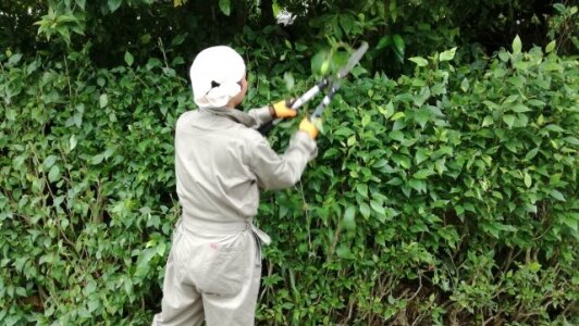 求人ボックス ガーデニングの仕事 求人 岐阜県 求人ボックス ガーデニングの仕事 求人 岐阜県