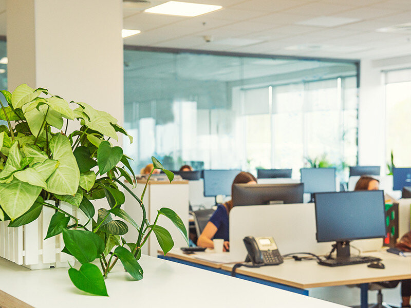 求人ボックス 法務の転職 求人情報 東京都 中央区