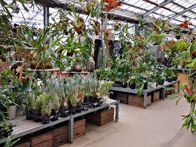 求人ボックス 園芸の仕事 求人 大阪府 求人ボックス 園芸の仕事 求人 大阪府