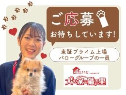 犬 世話の仕事・求人 - 神奈川県 相模原市｜求人ボックス