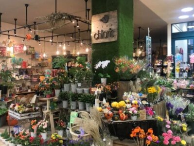 Czfy6ft7v5zim Czfy6ft7v5zim