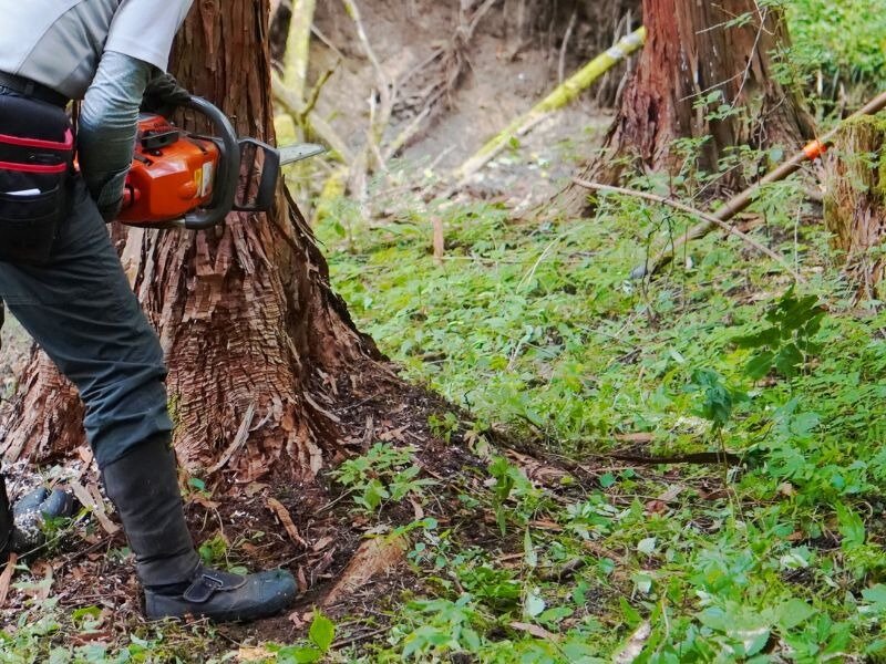 林業 チェーンソーの転職・求人情報｜求人ボックス