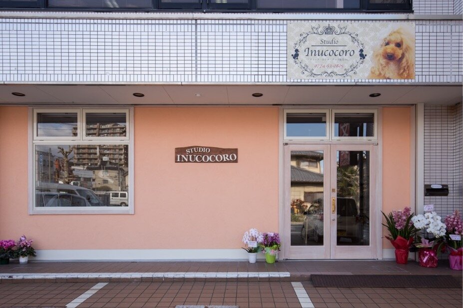 求人ボックス ドッグトレーナーの仕事 求人情報