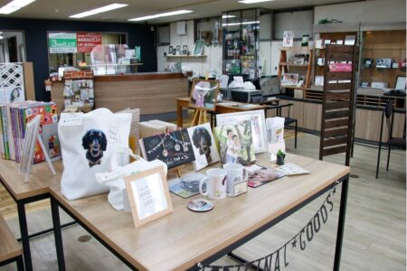 求人ボックス イラスト デザイン 未経験歓迎の仕事 北海道 求人ボックス イラスト デザイン 未経験歓迎の仕事 北海道