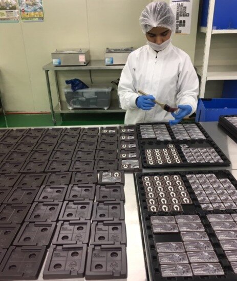 求人ボックス 株式会社ハネスト 冬季3ヶ月の短期バイト チョコレート工場での軽作業スタッフ の求人詳細情報 鴻巣駅