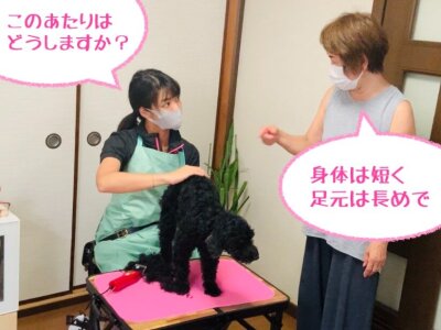 求人ボックス トリマーの仕事 求人 神奈川県 求人ボックス トリマーの仕事 求人 神奈川県