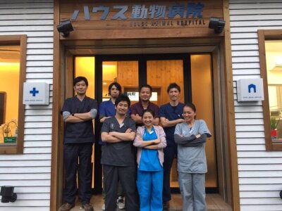 求人ボックス 動物病院 受付の仕事 求人 東京都 求人ボックス 動物病院 受付の仕事 求人 東京都