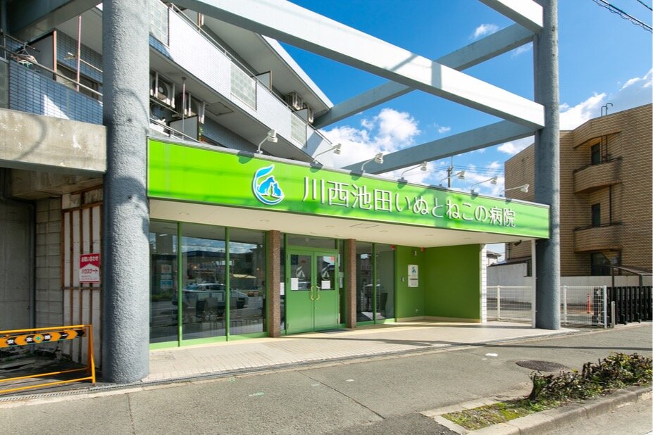 求人ボックス 動物病院 トリマーの仕事 求人 兵庫県