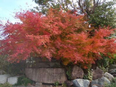 求人ボックス エクステリア工事の仕事 求人 広島県 求人ボックス エクステリア工事の仕事 求人 広島県