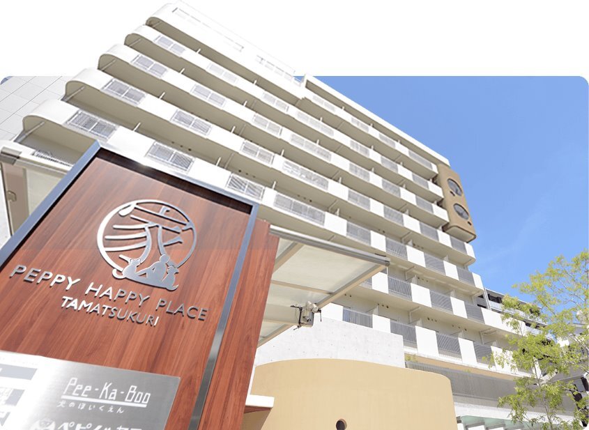 求人ボックス 動物病院の仕事 求人 大阪市 天王寺区