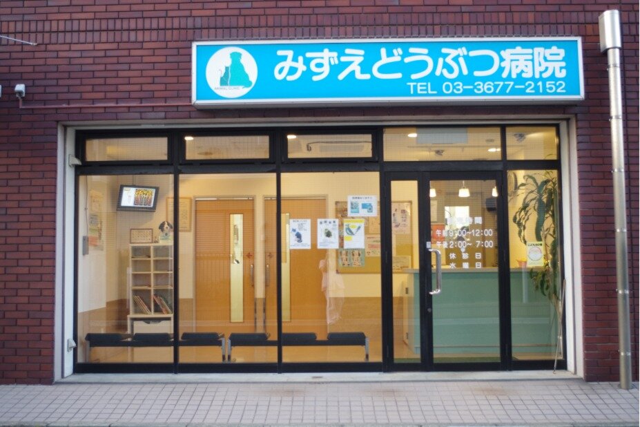 求人ボックス 動物看護士の仕事 求人 東京都