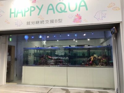 求人ボックス 熱帯魚の仕事 求人 大阪府 求人ボックス 熱帯魚の仕事 求人 大阪府