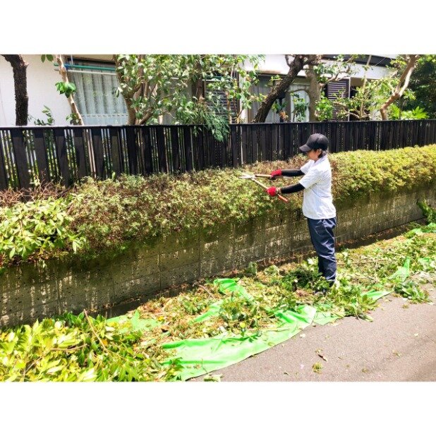 求人ボックス 株式会社ｃｒａｙｏｎ 若手大募集 造園 植木屋 外構の求人詳細情報 相模大野駅