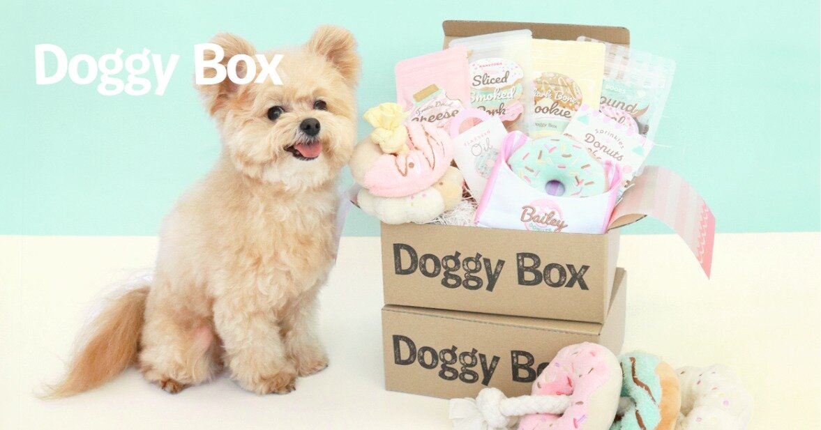 株式会社Doggy Box ワンちゃん向けサブスク事務スタッフ/用賀